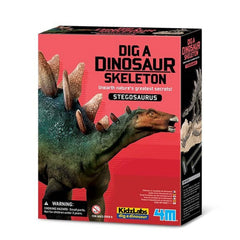 4M - KidzLabs Dig Dinosaur Skeleton Stegosaurus - Speelsets