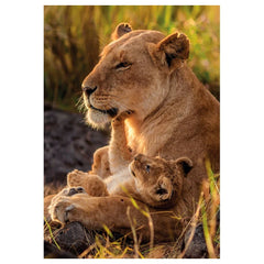 Clementoni - Feline Love Puzzle - Puzzels - Leeftijd +12 - 500 Stukken - CLM35615