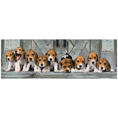 Clementoni High Quality Collection - Beagles 1000 Stukjes Puzzel Panorama