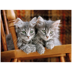 Clementoni High Quality Collection - Kittens 500 Stukjes Puzzel