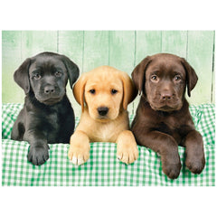Clementoni High Quality Collection - Three Labs Puppies 1000 Pcs Puzzle