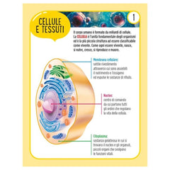 Edizioni del Borgo - Il Corpo Umano - Book Age: +3 - +6 - EDB58476A - Italian Edition