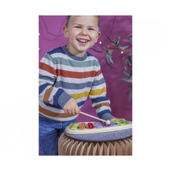 Eichhorn - Xylophone - Musical Instruments - Musical Instruments