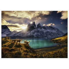 Heye - Guanacos Puzzle - Puzzels - +14 - HEY29815