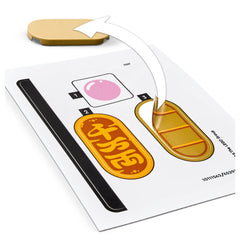 LEGO - Gelukkige Kat - Bouwset Speelgoed