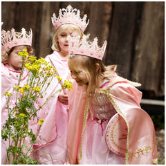 Liontouch - Koningin Cape - De Koningin Rosa Lijn - Doen alsof Beroepen & Rollenspel