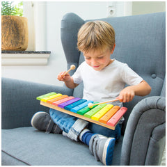 New Classic Toys - Xylofoon met Muziekboek - 12 Staven - Muziekinstrumenten