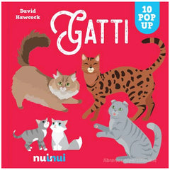 NuiNui - Pop Up Gatti Boek - Boeken