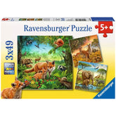 Ravensburger - Dieren van de Aarde - 3x49 Stukken - Puzzels