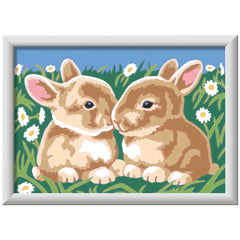 Ravensburger - Creart Fluffy Bunnies - Schilderen op Nummer - Kunst & Ambachten