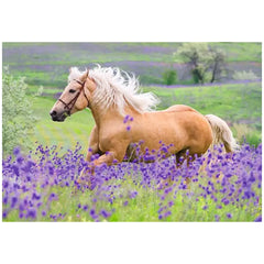 Ravensburger - Paardenliefde - 2x24 Stukken - Puzzels