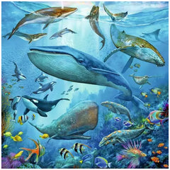 Ravensburger - Ocean Wildlife - 3x49 Stukken - Puzzels