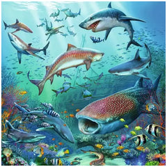 Ravensburger - Ocean Wildlife - 3x49 Stukken - Puzzels