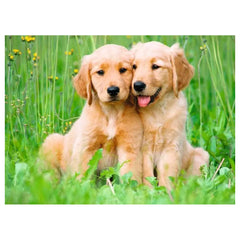 Ravensburger - Puzzels - Puppies 3 - 500 Stukken - 12 Jaar - Educatief speelgoed