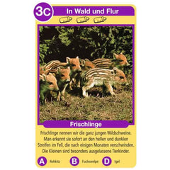 Ravensburger - Tierquartett Tierkinder - Kaartspel