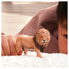 SCHLEICH - African Lion - Action & Toy Figures - 3+ - 84414974