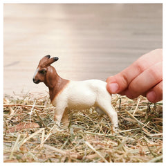 SCHLEICH - Boer Goat - Action & Toy Figures - 3+ - 84414929