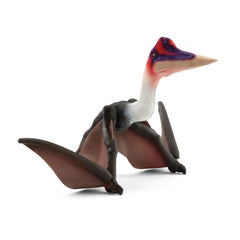 Schleich - Dinosaurussen - Quetzalcoatlus - Actie- en Speelgoedfiguren - 15028