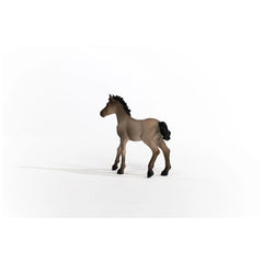 Schleich - Horse Club - Definitieve Criollo Veulen - Actie- en Speelgoedfiguren - 13949