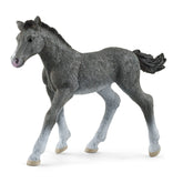 Schleich - Horse Club - Trakehner Colt - Action & Toy Figures - 13944