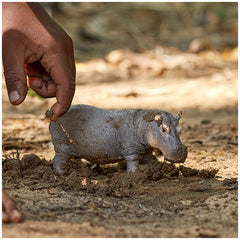 Schleich - Wild Life - Nijlpaard - Actie- en Speelfiguren - 14814