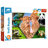 Trefl - Mooie Natuur - Puzzels - +5 - TRF16424