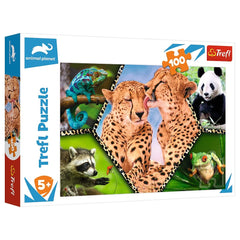 Trefl - Mooie Natuur - Puzzels - +5 - TRF16424