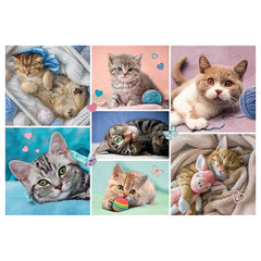 Trefl - 100 - Stukjes Puzzel - Puzzels - 5 - TRF16420