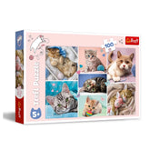 Trefl - 100 - Stukjes Puzzel - Puzzels - 5 - TRF16420