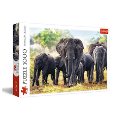 Trefl - 1000 Stukjes Puzzel - Puzzels - 14 - Leuke Activiteit - TRF10442