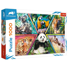 Trefl - 1000 Stukjes Puzzel - Puzzels - 14 - TRF10672
