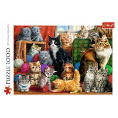 Trefl - Feline Meeting - Puzzels - 14 - TRF10555