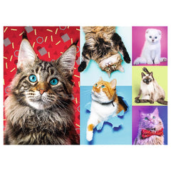 Trefl - Happy Cats - Puzzels - 14 - TRF10591