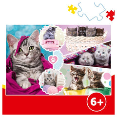 Trefl - Schattige Kittens - Puzzels - 6 - TRF15371