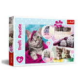Trefl - Schattige Kittens - Puzzels - 6 - TRF15371