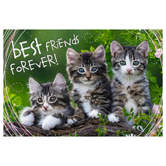 Trefl - 260 - Stukjes Puzzel - Feline Friendship - +6 - TRF13215