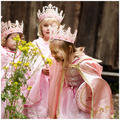 Liontouch - Queen Cape - The Queen Rosa Line - Pretend Professions & Role Playing