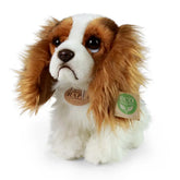 Rappa - Plush King Charles Spaniel - Stuffed Animals - Age +0M - RAP - ECO - DOG - 25 - 69520304