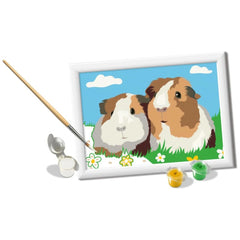 Ravensburger - Creart Guinea Pigs - Painting By Numbers - Arts & Crafts