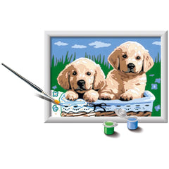 Ravensburger - Creart Sleeping Cats And Dogs - Painting By Numbers - Arts & Crafts