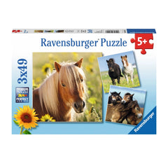 Ravensburger - Schattige Pony's - 3x49 Stukken - Puzzel