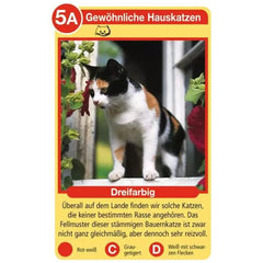Ravensburger - Tierquartett Katzen - Kaartspel