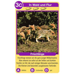 Ravensburger - Tierquartett Tierkinder - Kaartspel