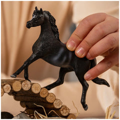 Schleich - Horse Club - Arabian Stallion - Action & Toy Figures - 13981