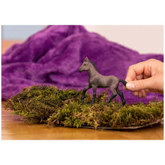 Schleich - Horse Club - Paso Peruano Foal - Action & Toy Figures - 13954