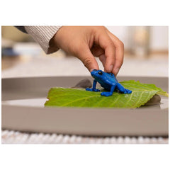 Schleich - Wild Life - Blue Arrow Frog - Action & Toy Figures - 14864