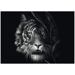 SCHMIDT SPIELE - Wilderness – Tiger: the epitome of freedom 1000 Pcs Adult puzzles - Puzzles