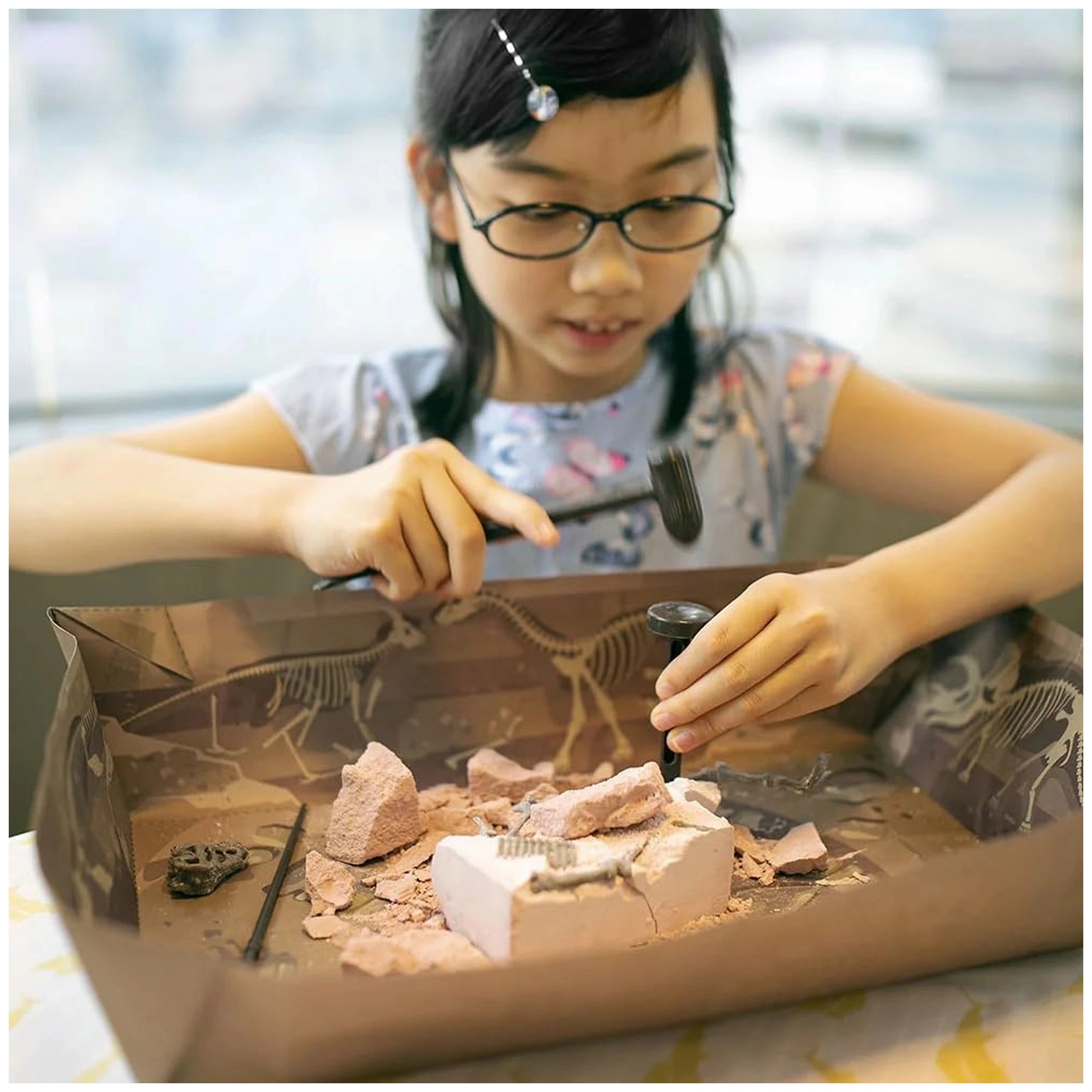 4M - KidzLabs Dig Dinosaur Skeleton Stegosaurus - Toy Playsets