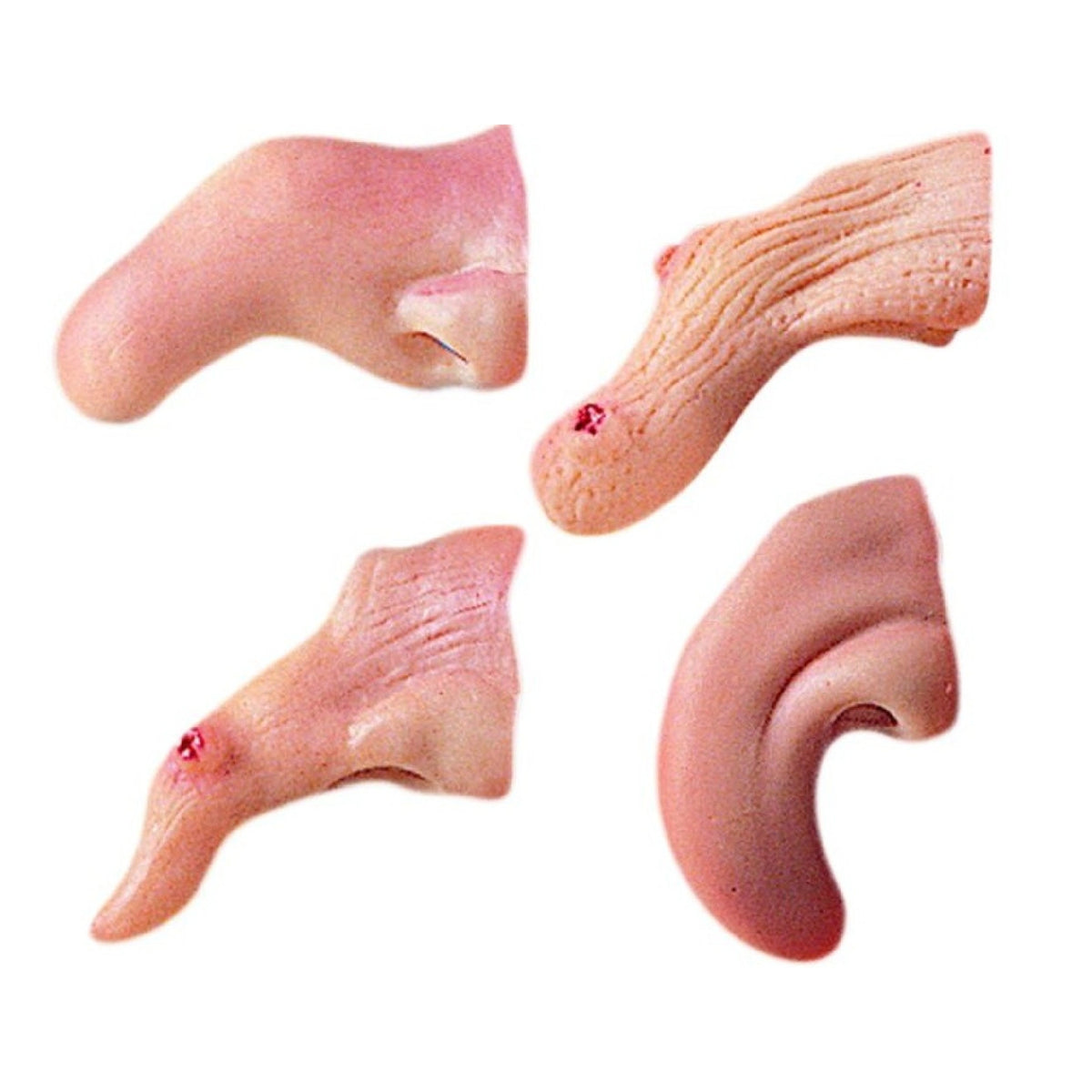 Carnival Toys - Heksenneus Prothese Voor Creatief Verkleden - Doen alsof Beroepen En Rollenspel