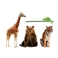 Clementoni - Animali Da Record Kaartspellen - Italiaanse Editie